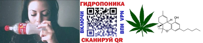 нарко площадка клад  Щигры  Каннабис VHQ  купить  цена 
